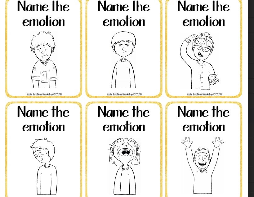  From Social Emotional Workshop 2016 