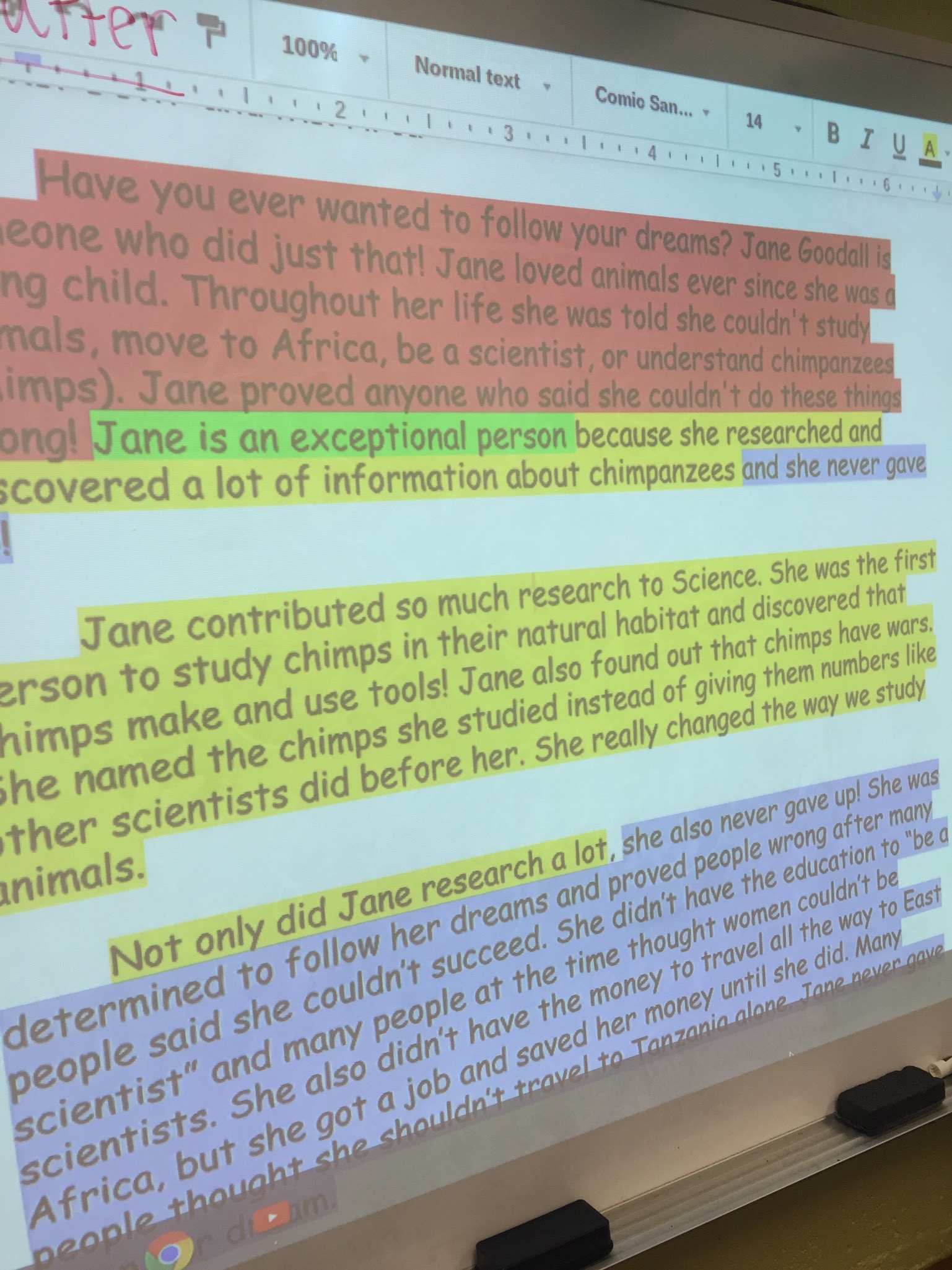  Our color coded example essay about Jane Goodall. 